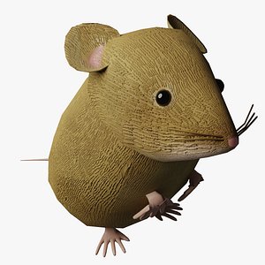 Vole, Wuehlmaus, Mouse