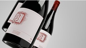 3D Wine Bottle model