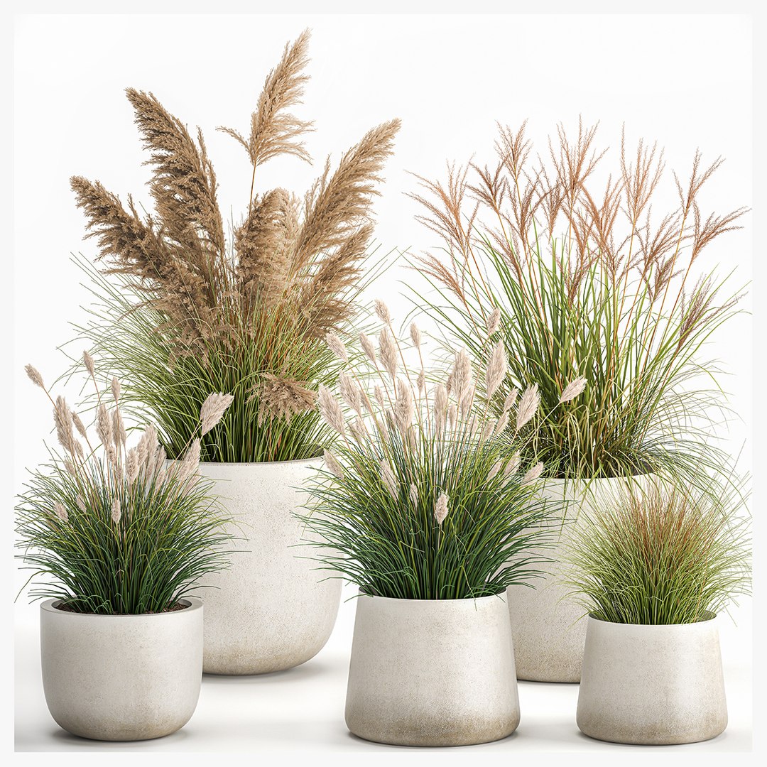 3D Reeds In A Concrete Flowerpot For The Interior 1094 - TurboSquid 1837439