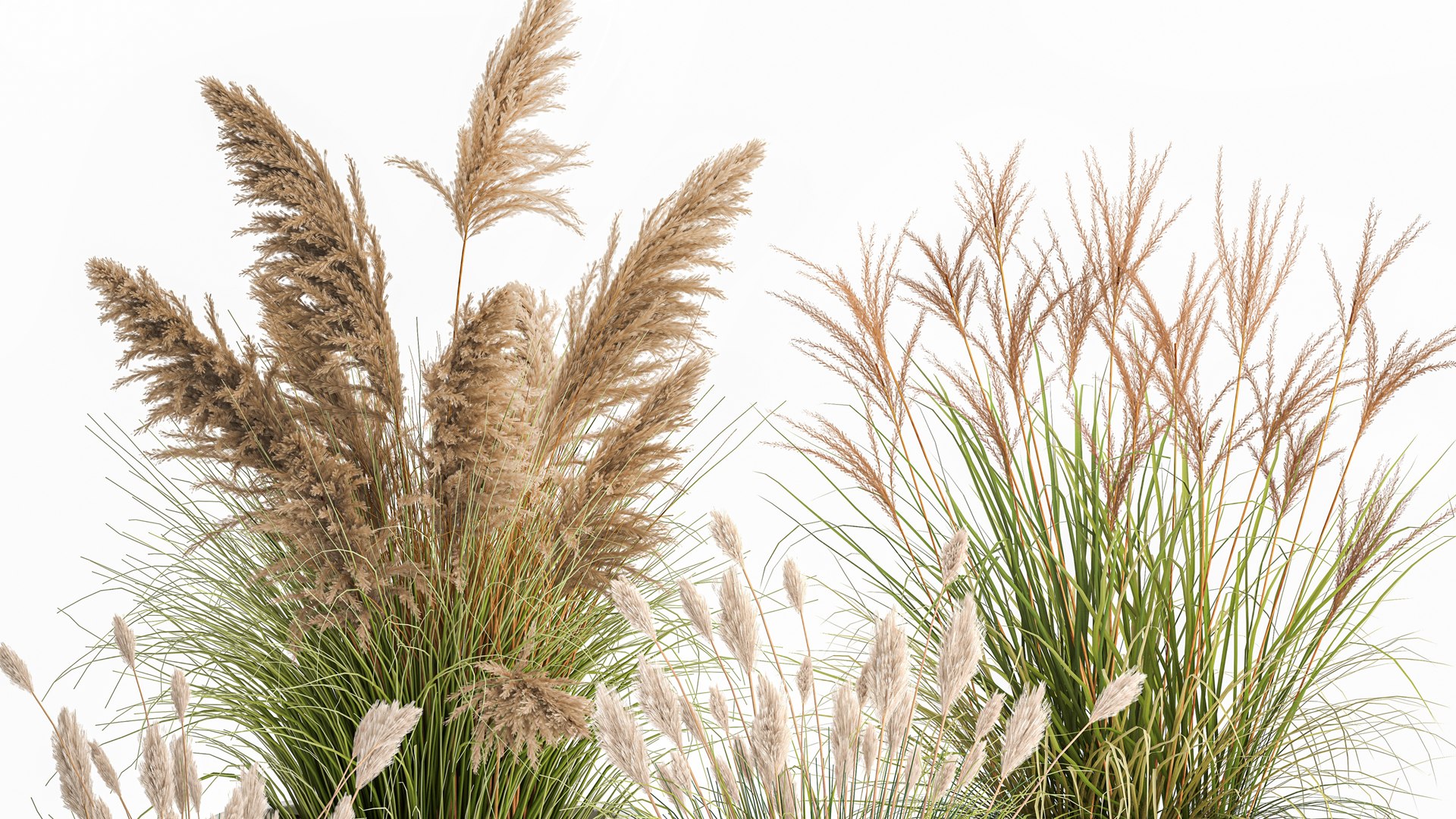 3D Reeds In A Concrete Flowerpot For The Interior 1094 - TurboSquid 1837439