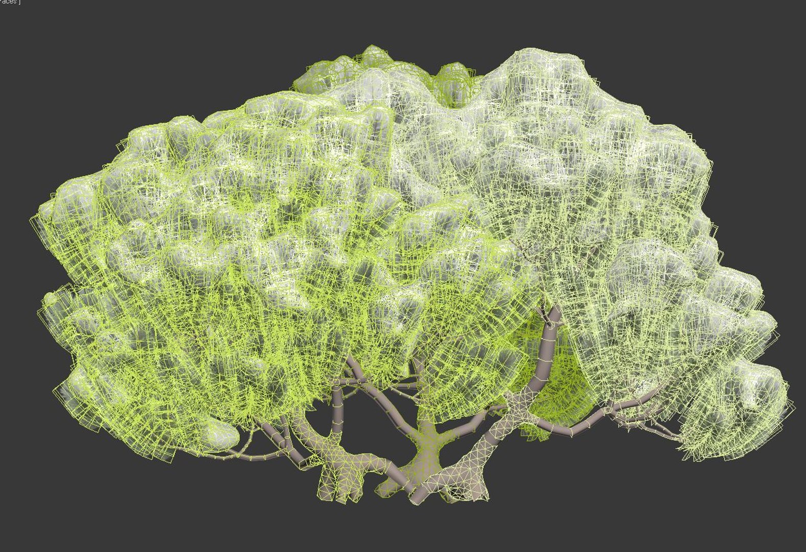 pinus mugo snow tree 3D model https://p.turbosquid.com/ts-thumb/0J/Pf45kK/CBlt0TE4/pinusmugo11/jpg/1556975647/1920x1080/fit_q87/703325a3545ad408cd6bdd1685e27ddc20e88cad/pinusmugo11.jpg