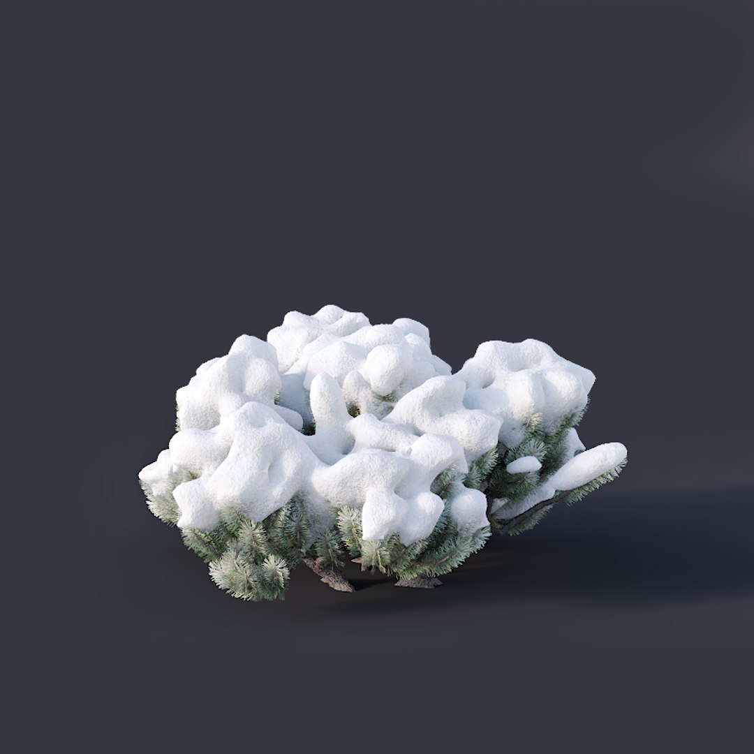 pinus mugo snow tree 3D model https://p.turbosquid.com/ts-thumb/0J/Pf45kK/FZY4S9i6/pinusmugo8/jpg/1556975647/1920x1080/fit_q87/ab6796374bfc379a7b2d080b6ccca6e167c7321a/pinusmugo8.jpg