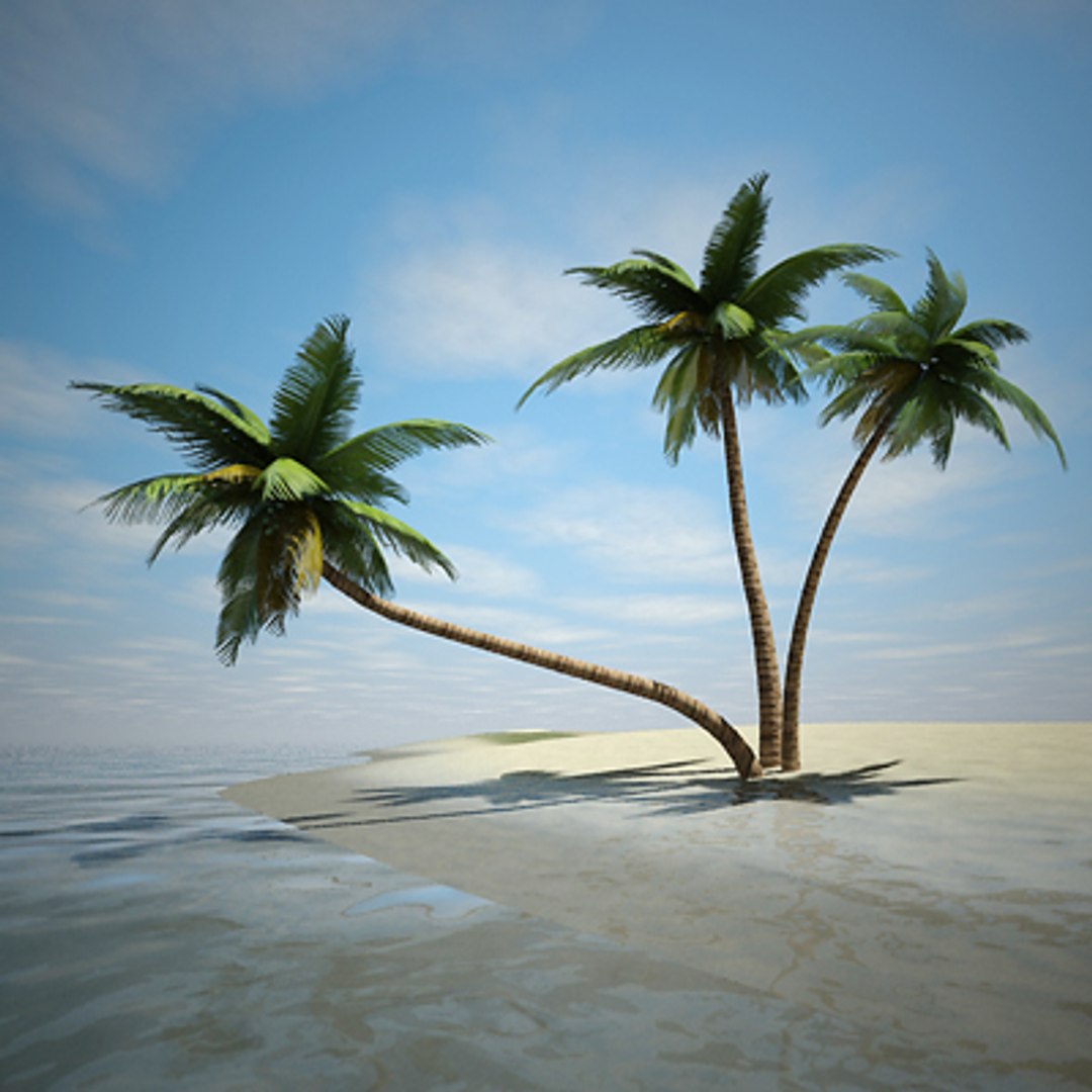 tropical coconut palm tree ma https://p.turbosquid.com/ts-thumb/0J/ZpdYgk/eHyEonG3/coconutpalms/jpg/1271756780/1920x1080/fit_q87/e14e5f49a25712241eed4a2cc34fd33d1ad4ea99/coconutpalms.jpg