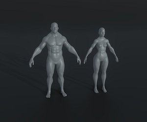 3D Strong Male Female Body Base Mesh Animated Rigged 3D Model 20k Low-poly 3D model model