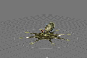 rigged octopus ma