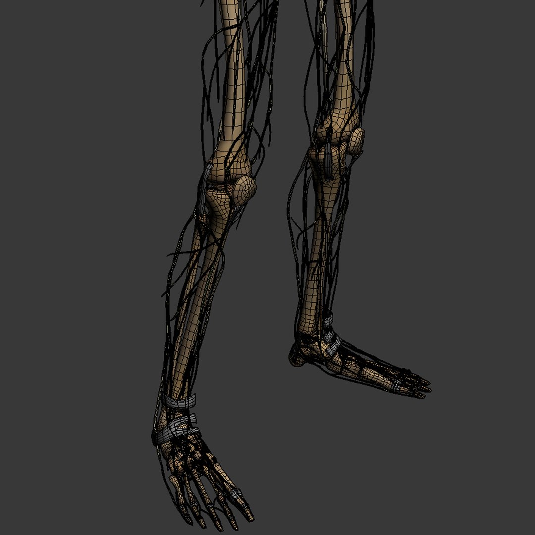 3d dugm01 female anatomy pack https://p.turbosquid.com/ts-thumb/0J/gohSBS/3HejZE4a/femaleanatomy_08/jpg/1442945135/1920x1080/fit_q87/1f84f66acbeae6e209ed53ee73a8d881efbd74ff/femaleanatomy_08.jpg