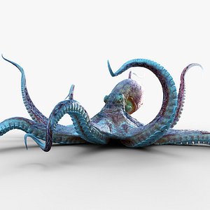 Giant Octopus RIG model