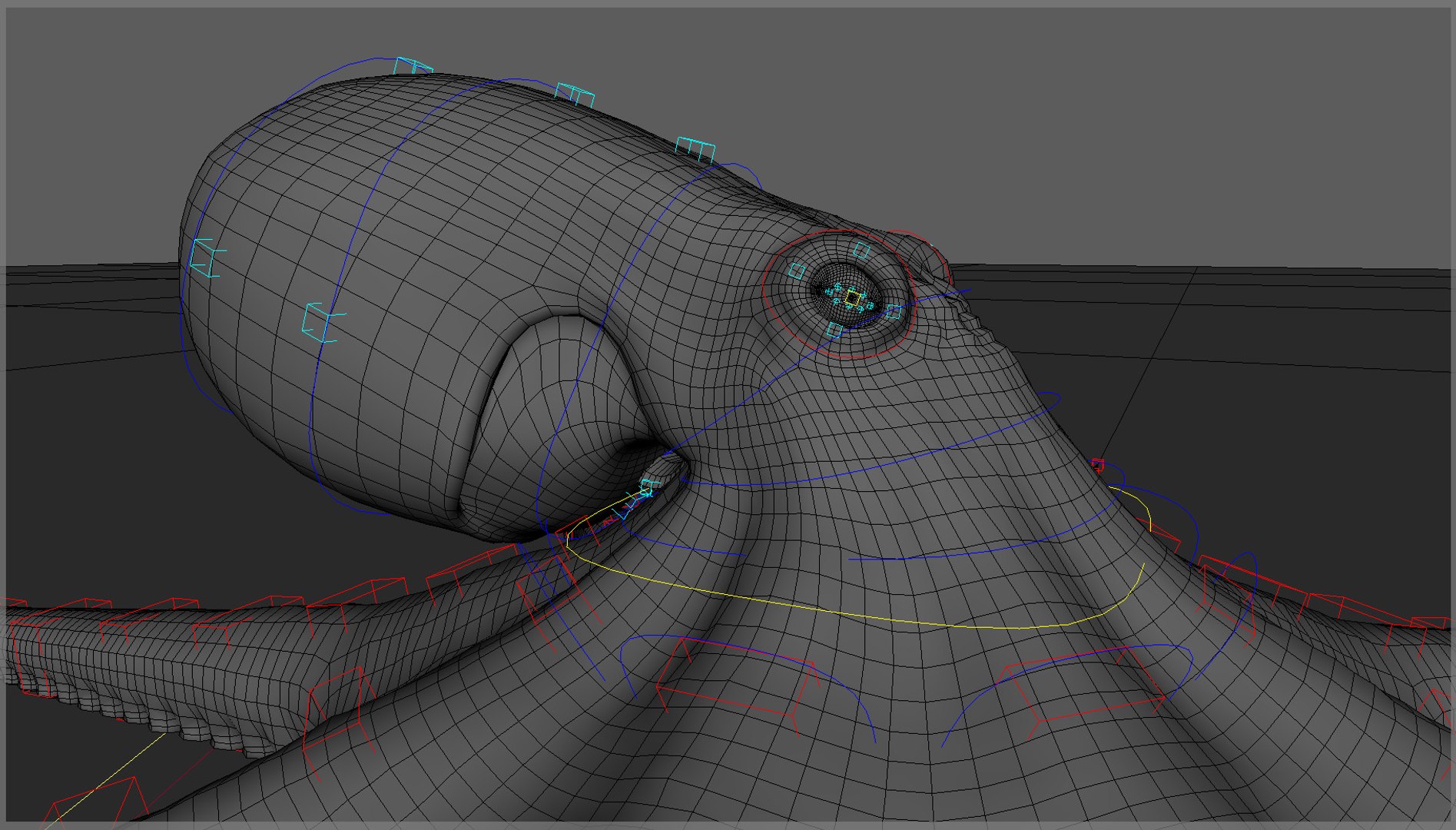 Giant Octopus RIG Model - TurboSquid 2350351