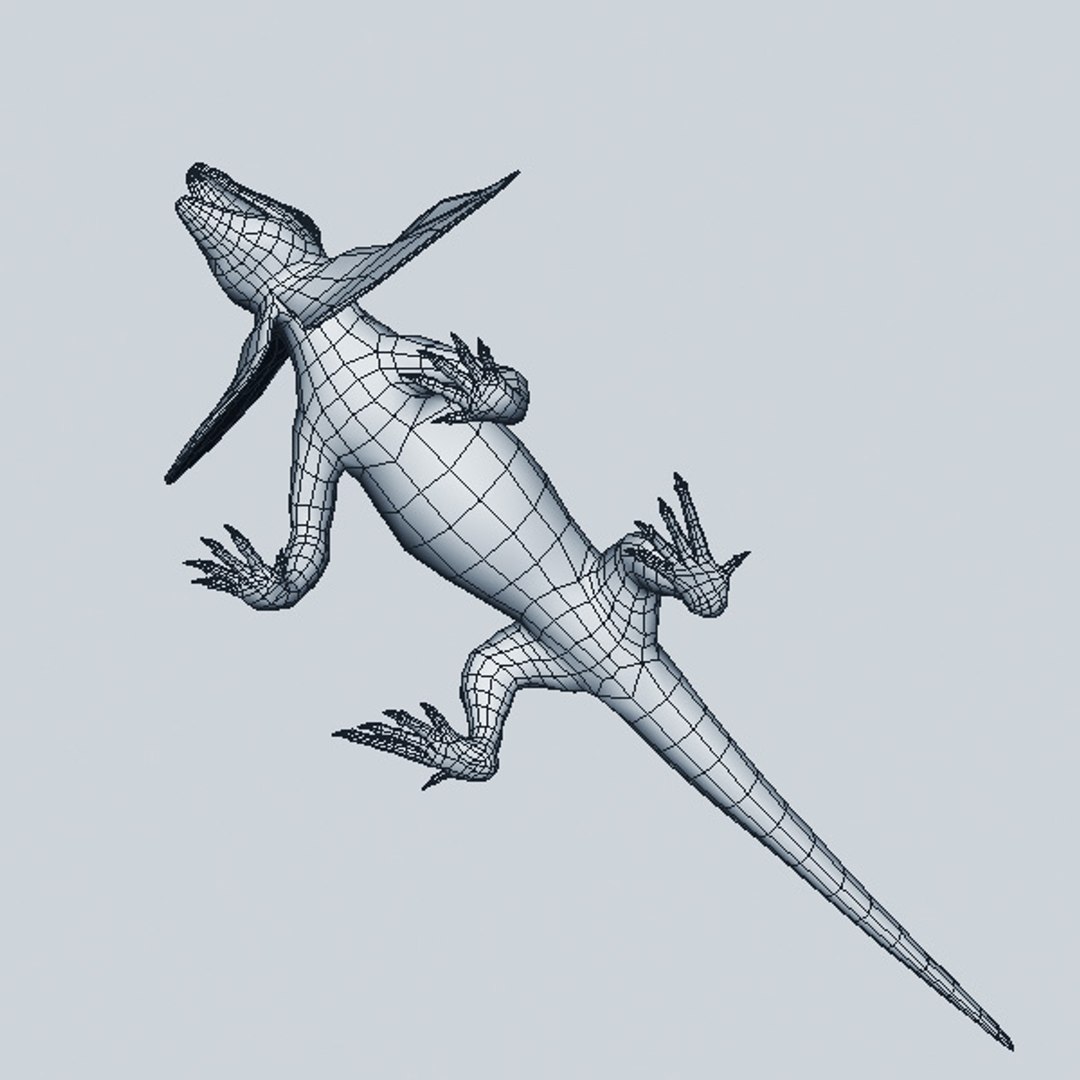frilled lizard 3d 3ds https://p.turbosquid.com/ts-thumb/0J/mUnPPx/DeAIEAoH/liz8/jpg/1292590866/1920x1080/fit_q87/f17b8c401f32dfcfaeb4393174b1938d819fc2bc/liz8.jpg