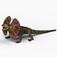 Frilled Lizard