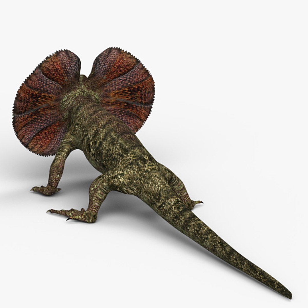 frilled lizard 3d 3ds https://p.turbosquid.com/ts-thumb/0J/mUnPPx/Ng4a7o76/f_lizard_04/jpg/1310202869/1920x1080/fit_q87/e2c1479710fa0f1b90d6168500b2e70ae35f2182/f_lizard_04.jpg