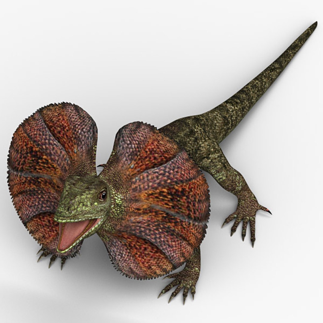 frilled lizard 3d 3ds https://p.turbosquid.com/ts-thumb/0J/mUnPPx/wMb5OnrW/f_lizard_02/jpg/1310202909/1920x1080/fit_q87/596b070ce855fb05b7bd2319151f38592ffa0142/f_lizard_02.jpg