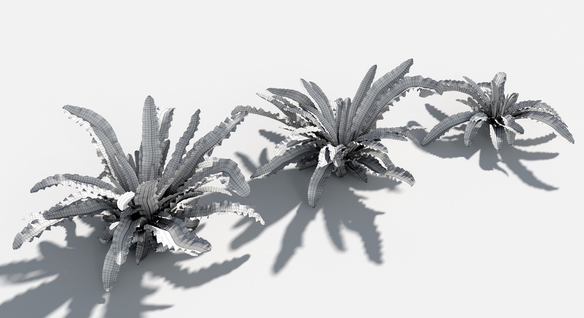 3D Plants Pack 7: Rainforest: GrowFX model https://p.turbosquid.com/ts-thumb/0J/ne9LoG/4N/bird_nest_fern4/jpg/1623756129/1920x1080/fit_q87/0056e6c6ef218fdf08ad70be77c36e16b381bdbe/bird_nest_fern4.jpg