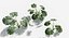 Plants Pack 7: Rainforest: GrowFX