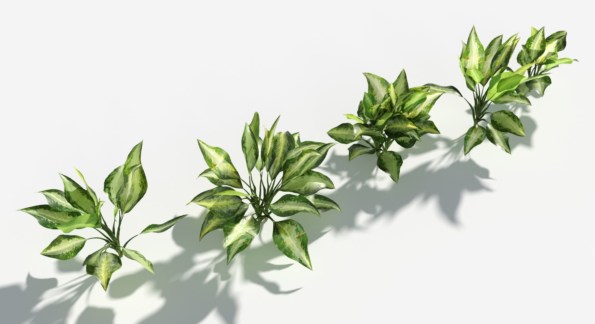 3D Plants Pack 7: Rainforest: GrowFX model https://p.turbosquid.com/ts-thumb/0J/ne9LoG/TA/silver_bay2/jpg/1623756128/1920x1080/fit_q87/a113014639b2e4fdab1804642afff48eca024f7e/silver_bay2.jpg
