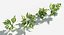 Plants Pack 7: Rainforest: GrowFX