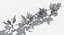 Plants Pack 7: Rainforest: GrowFX