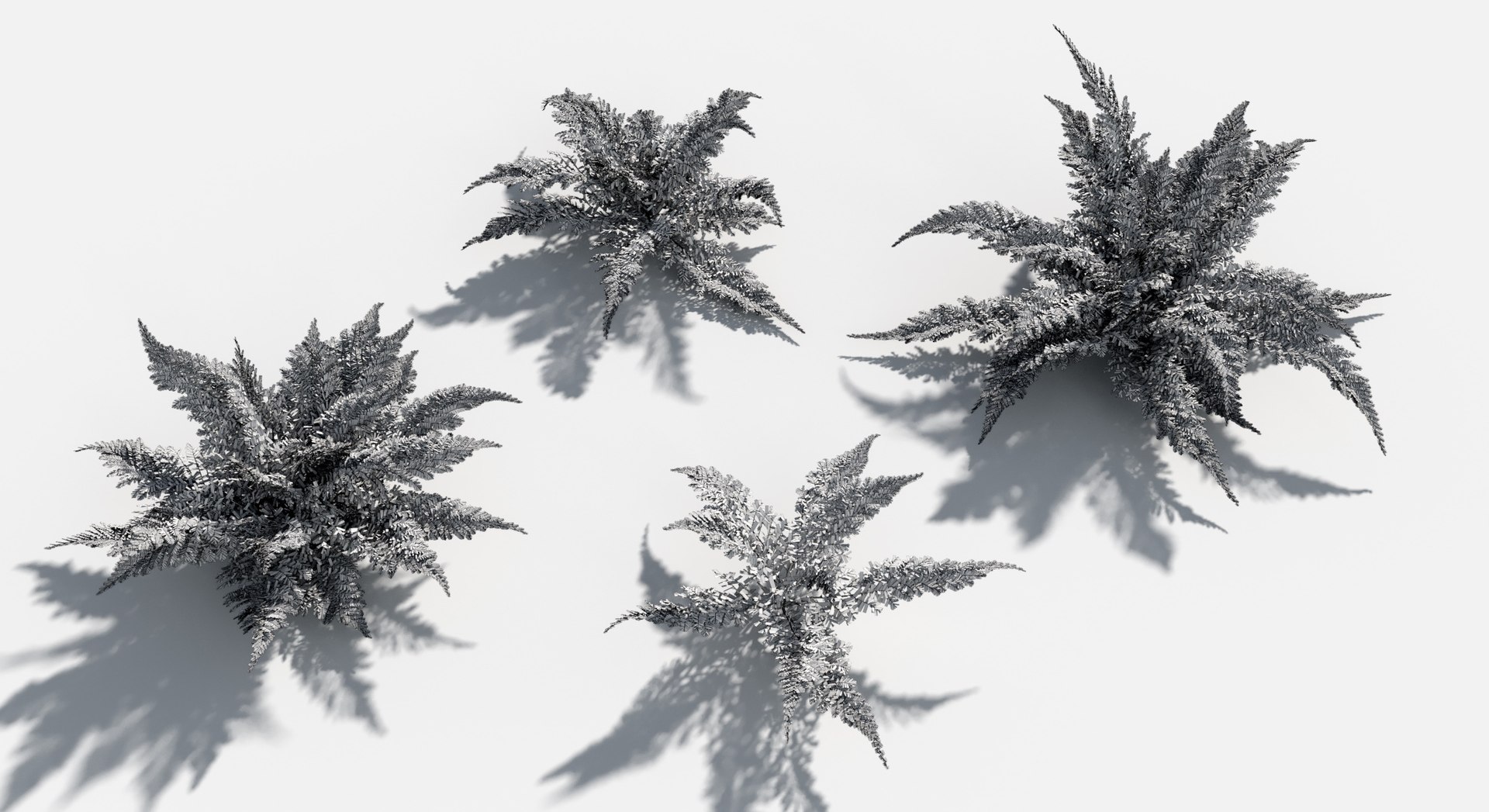 3D Plants Pack 7: Rainforest: GrowFX model https://p.turbosquid.com/ts-thumb/0J/ne9LoG/kl/boston_fern3/jpg/1623756135/1920x1080/fit_q87/37411d60d0571d6bec4e0b2c5030739fe637de75/boston_fern3.jpg