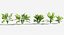 Plants Pack 7: Rainforest: GrowFX