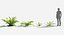 Plants Pack 7: Rainforest: GrowFX