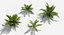 Plants Pack 7: Rainforest: GrowFX