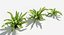 Plants Pack 7: Rainforest: GrowFX