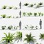 Plants Pack 7: Rainforest: GrowFX