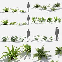 Plants Pack 7: Rainforest: GrowFX