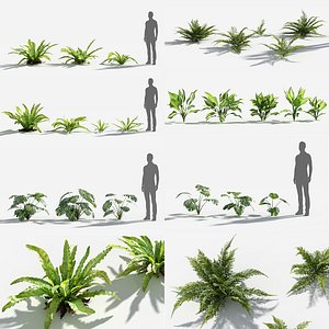 Plants Pack 7: Rainforest: GrowFX
