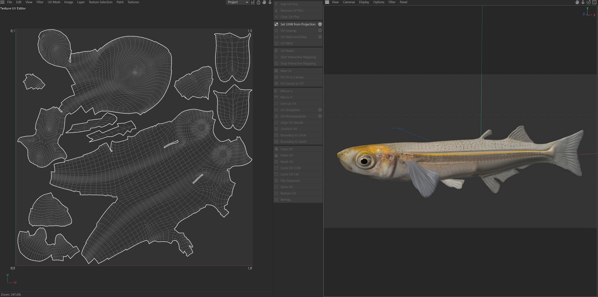 3D 50 Fish Sea Creatures Collection https://p.turbosquid.com/ts-thumb/0J/orT5zY/pt/uv/jpg/1767865914/1920x1080/fit_q87/31859de9ba9325893d4cb113c06934a7022d04e4/uv.jpg