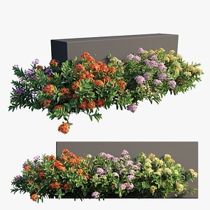 3D plant set