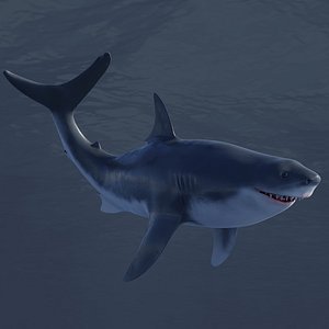 Great White Shark Rigged in Blender