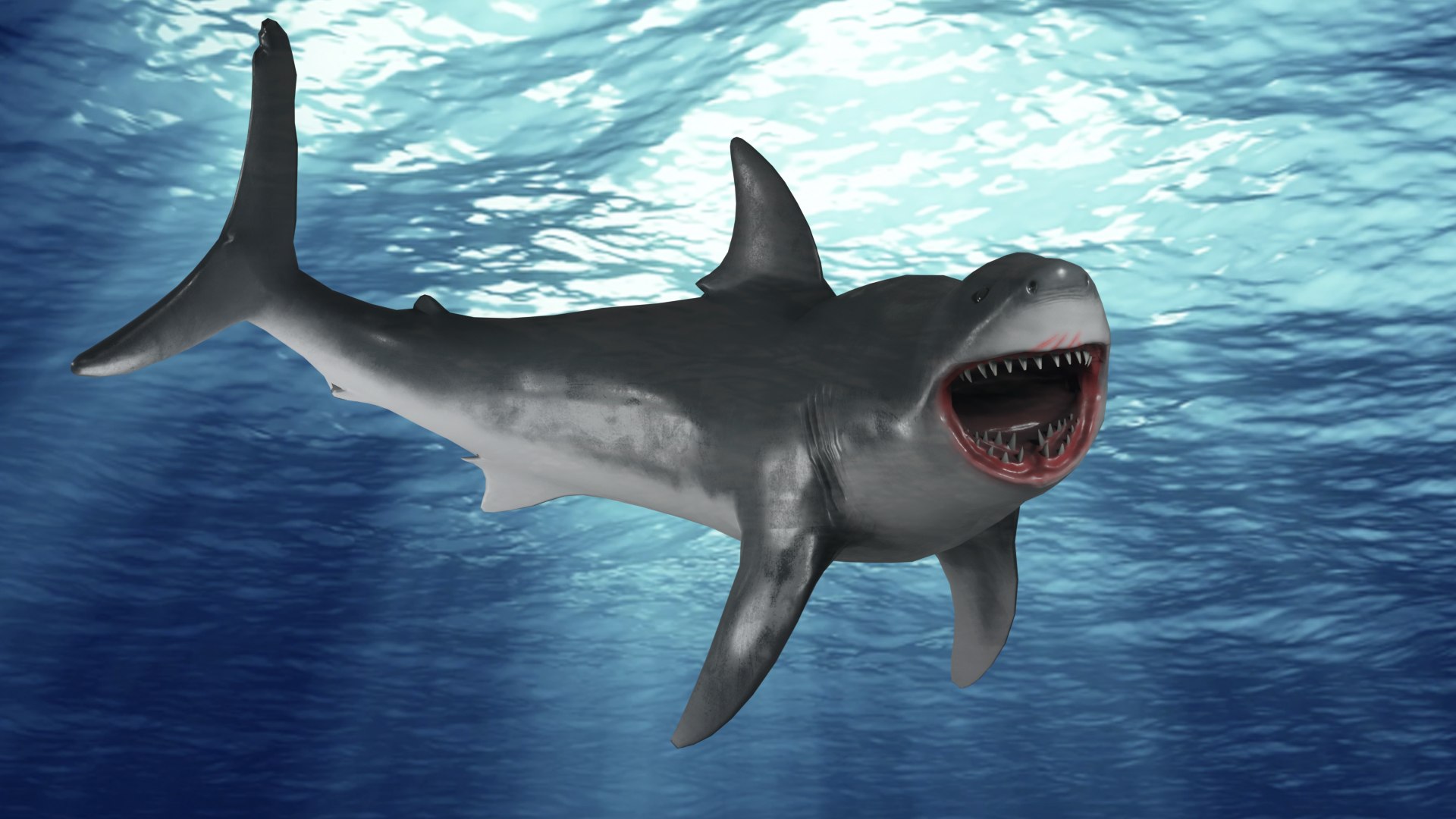 3d Great White Shark Rigged In Blender - Turbosquid 2009419