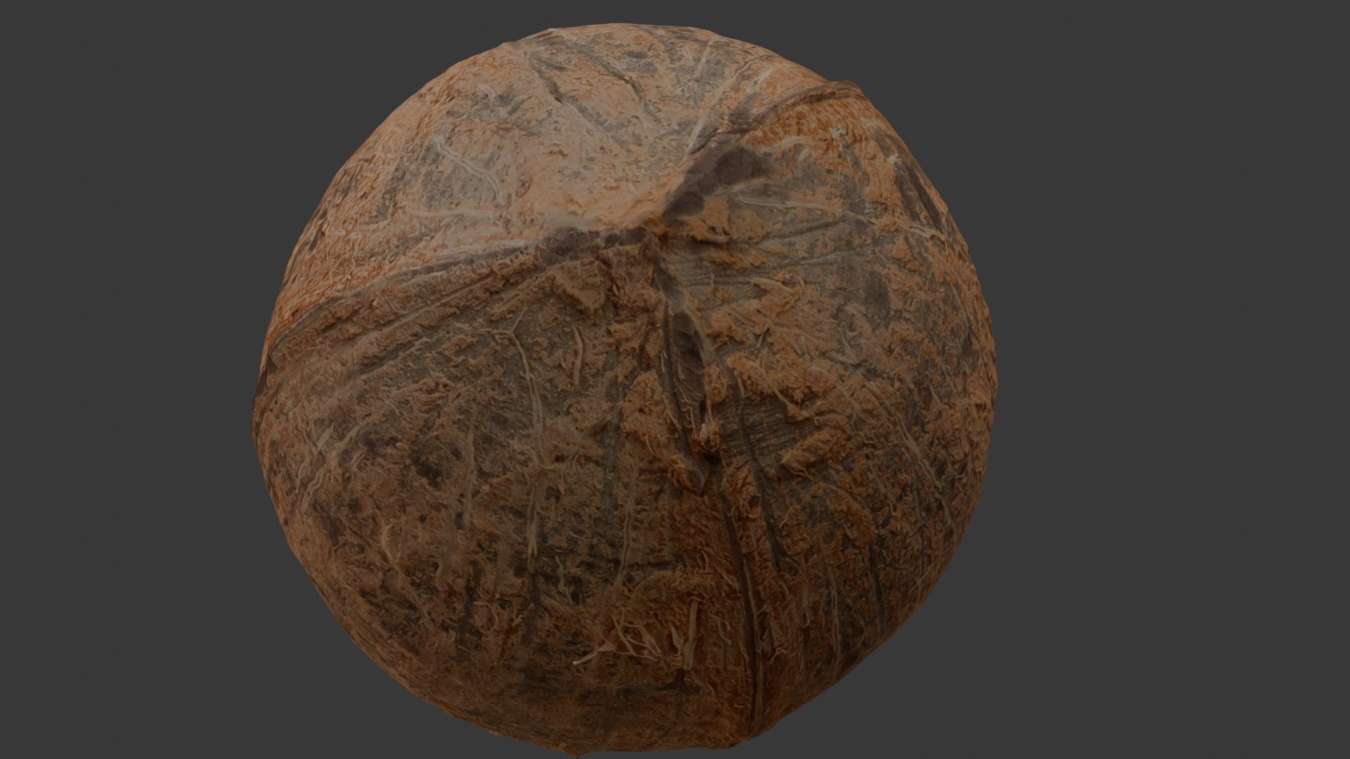 Realistic Coconut 3D Model 3D Model - TurboSquid 2396188