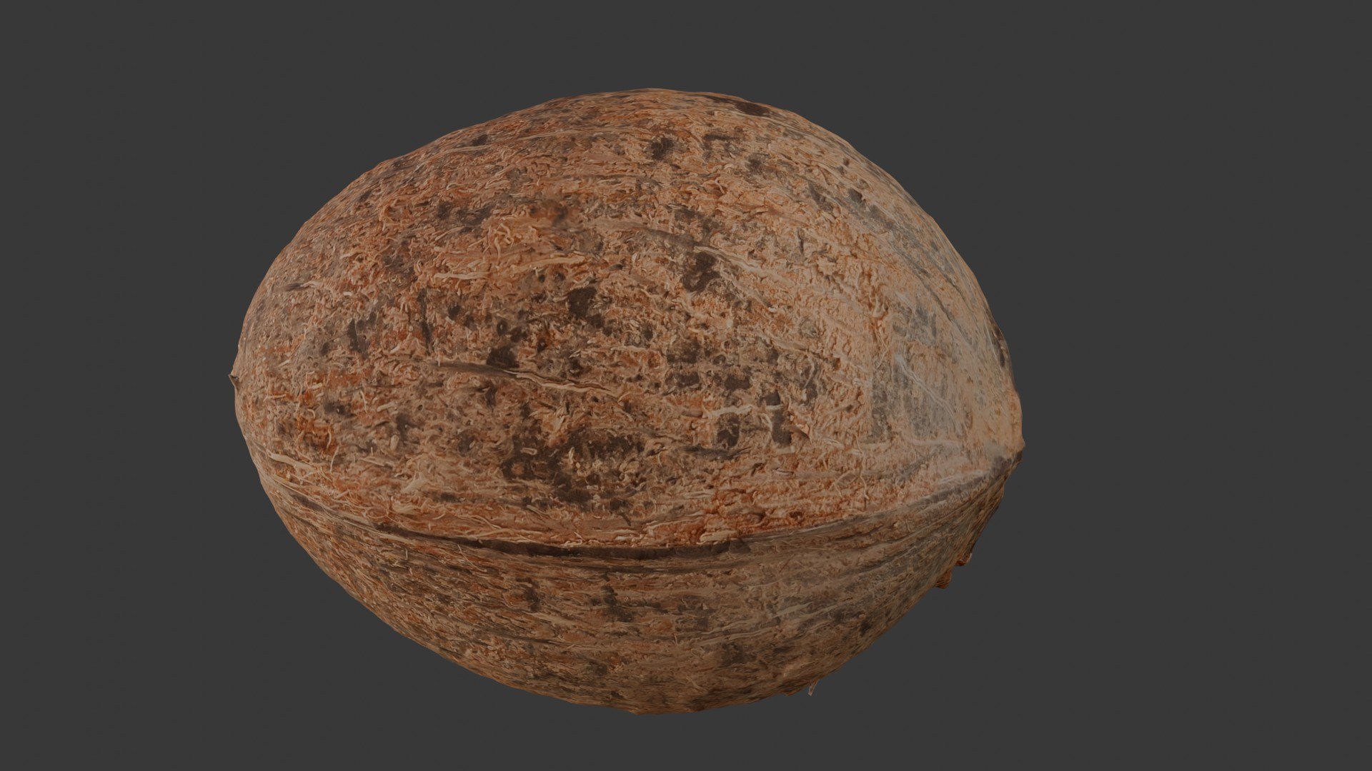Realistic Coconut 3D Model 3D Model - TurboSquid 2396188