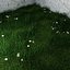 Green Grass And Small Flowers