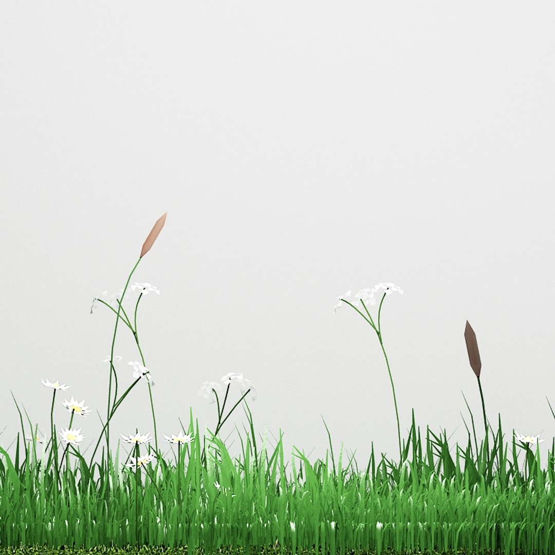 3d green grass small flowers https://p.turbosquid.com/ts-thumb/0K/ODlFow/9xKSeim4/fieldofgrass06/jpg/1335465982/1920x1080/fit_q87/65dcc3b941f5df085048835aff1190ebf5524e2f/fieldofgrass06.jpg