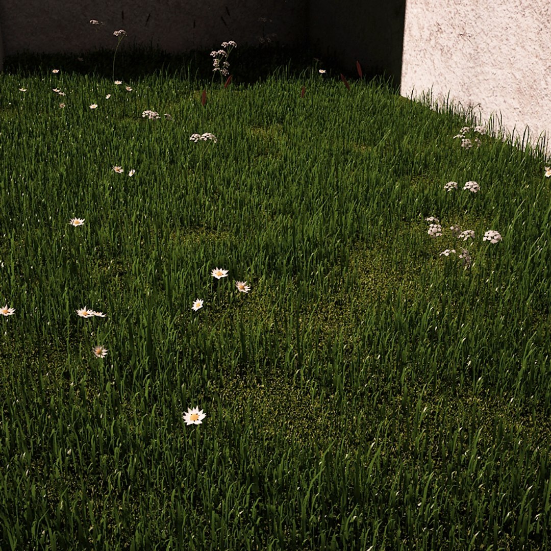 3d green grass small flowers https://p.turbosquid.com/ts-thumb/0K/ODlFow/BPWcUfBD/fieldofgrass04/jpg/1335465982/1920x1080/fit_q87/2f99315993b6bce92228730837bb13894c683d80/fieldofgrass04.jpg