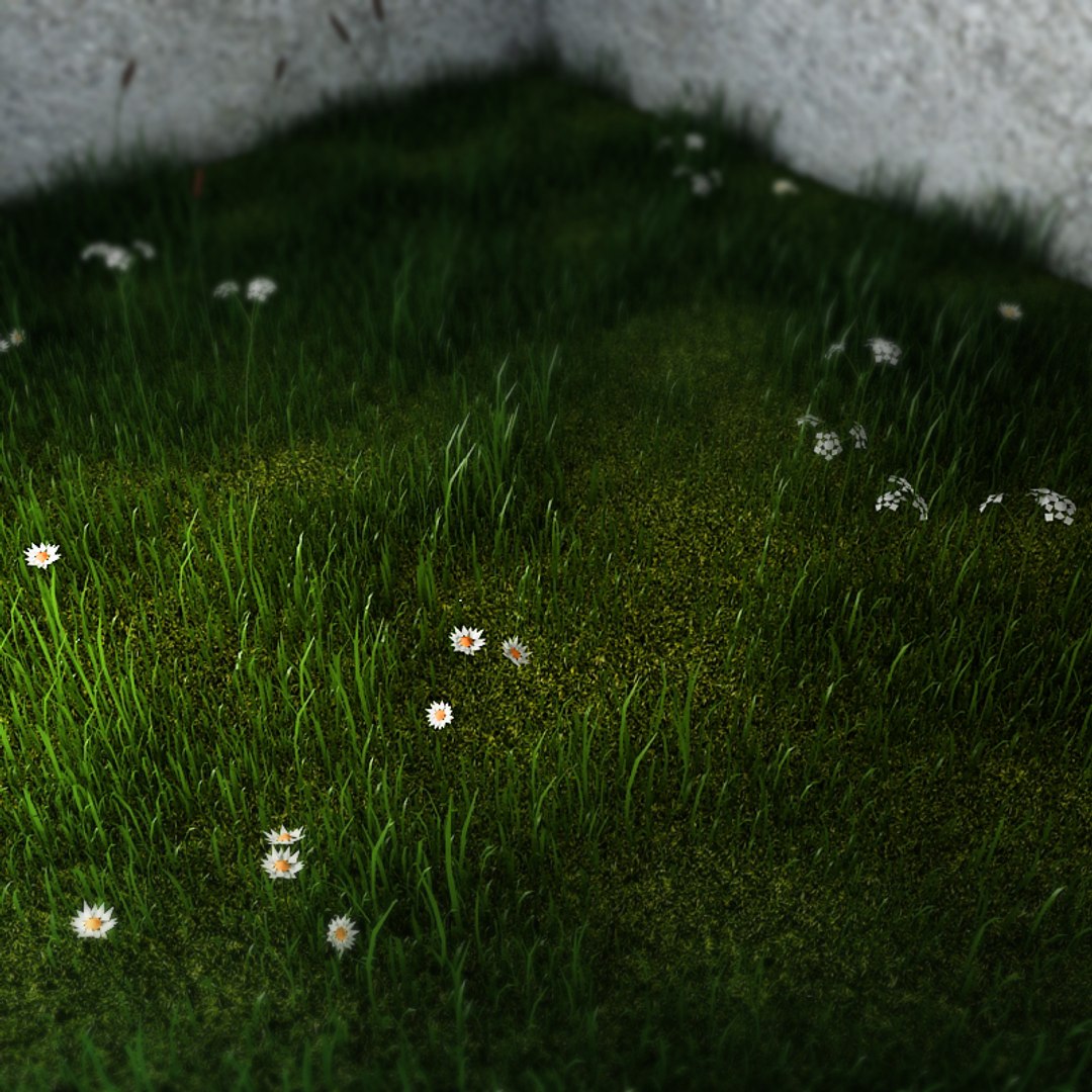 3d green grass small flowers https://p.turbosquid.com/ts-thumb/0K/ODlFow/FW2cBhai/fieldofgrass02ps/jpg/1335493920/1920x1080/fit_q87/ae89dfd0693aa3e187c3baa222110ddad395ef67/fieldofgrass02ps.jpg