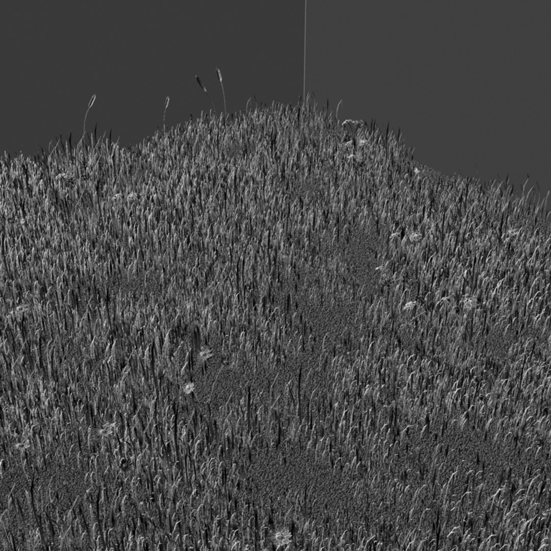 3d green grass small flowers https://p.turbosquid.com/ts-thumb/0K/ODlFow/cBXs1Ywq/wire00/jpg/1351882208/1920x1080/fit_q87/eaa0114050105edb504f47a086d1ae7635e9feda/wire00.jpg