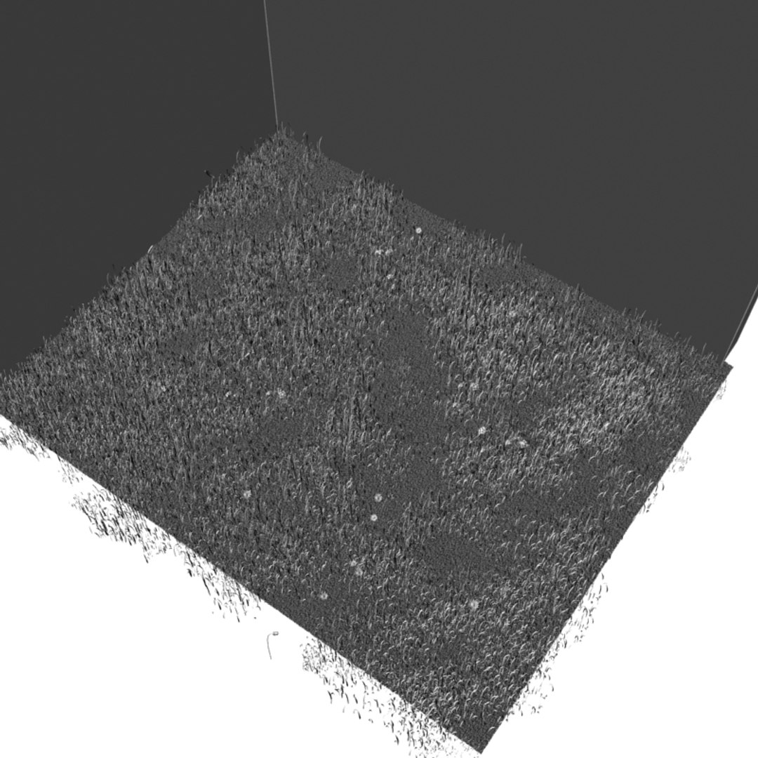 3d green grass small flowers https://p.turbosquid.com/ts-thumb/0K/ODlFow/cUSXeC40/wire03/jpg/1351882208/1920x1080/fit_q87/a969b8270ec40b893cafe8ad3eea5ccb77fcff4d/wire03.jpg