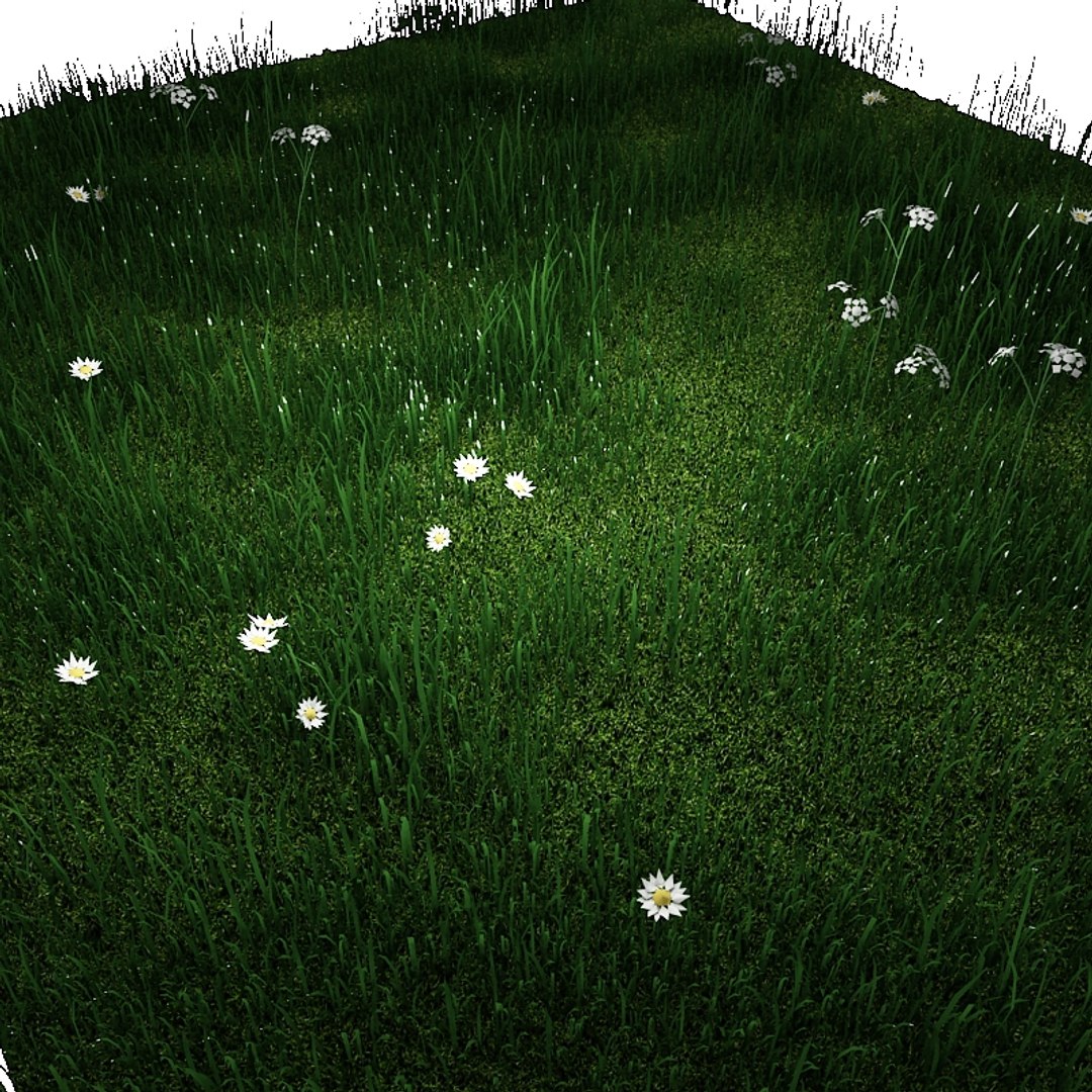3d green grass small flowers https://p.turbosquid.com/ts-thumb/0K/ODlFow/pJF2SeJK/fieldofgrass01/jpg/1335465914/1920x1080/fit_q87/54e8f23e7fff04a9bc8a645f6b9c501635694255/fieldofgrass01.jpg