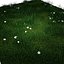 Green Grass And Small Flowers