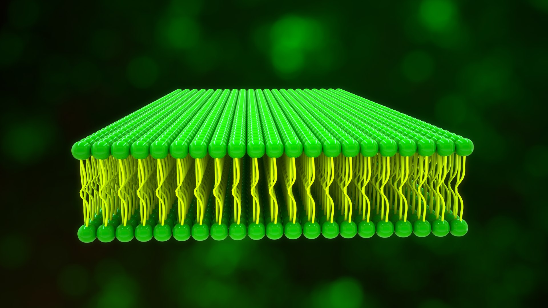 3D Lipids broad group of organic compounds https://p.turbosquid.com/ts-thumb/0K/Ouf9xn/Hh/z0036_lipids_0003/jpg/1703659072/1920x1080/fit_q87/2ac9f6af5daabcfcc9b520bd0a28dd0b2688bad3/z0036_lipids_0003.jpg