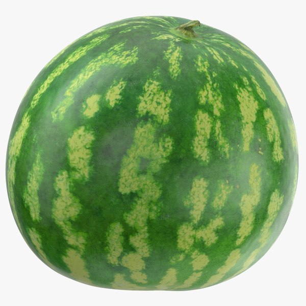 watermelon 04 3D model
