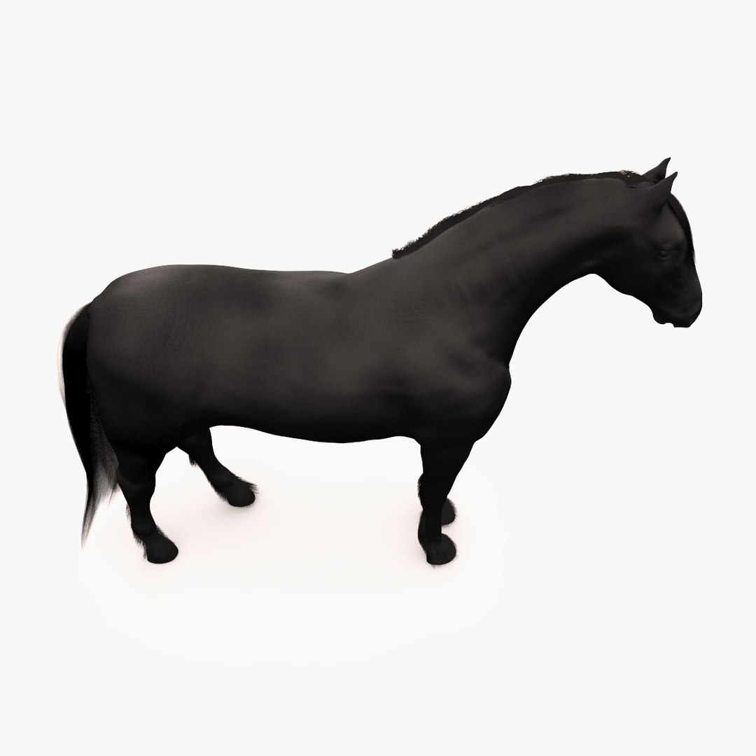 horse friesian black fur 3d max https://p.turbosquid.com/ts-thumb/0K/XF5svm/2NrvPZHY/image_7/jpg/1465464237/1920x1080/fit_q87/c33b44e9d0edac235f2a38c8ca421cdf2484636e/image_7.jpg