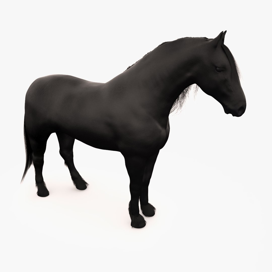 horse friesian black fur 3d max https://p.turbosquid.com/ts-thumb/0K/XF5svm/6nJxJhPY/image_6/jpg/1465464237/1920x1080/fit_q87/dd335c18bcef149a79881075e7254315080f1624/image_6.jpg
