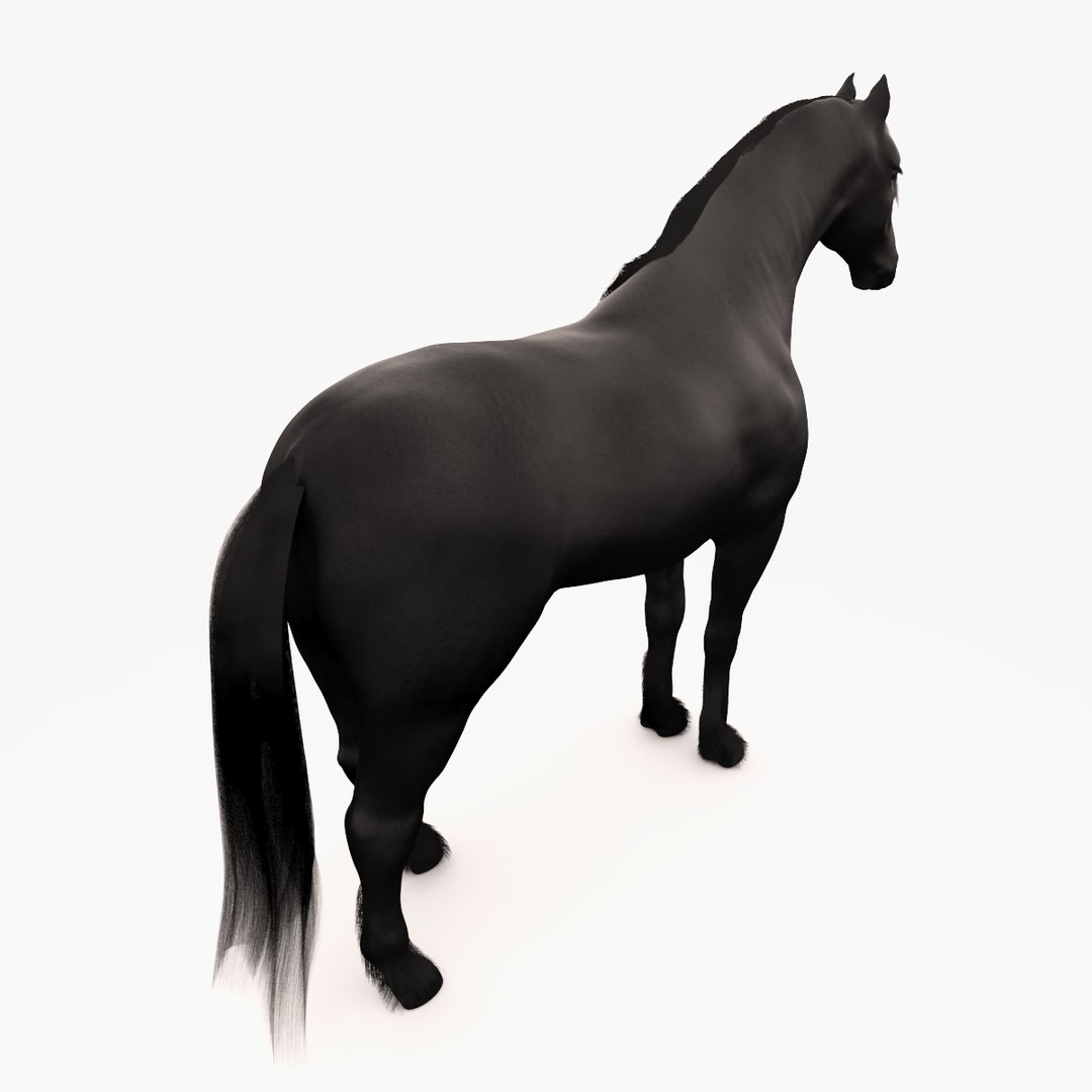 horse friesian black fur 3d max https://p.turbosquid.com/ts-thumb/0K/XF5svm/9Djw7kWT/image_5/jpg/1465464237/1920x1080/fit_q87/272313e38bc9e9f9a93cf014ed90ff18f3a2fa6a/image_5.jpg