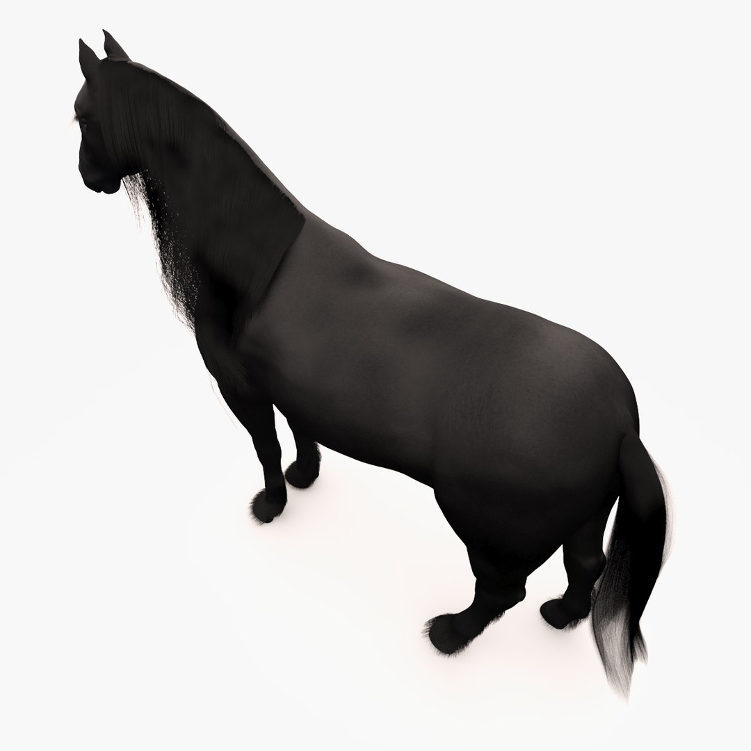 horse friesian black fur 3d max https://p.turbosquid.com/ts-thumb/0K/XF5svm/RiWrJQWq/image_4/jpg/1465464237/1920x1080/fit_q87/76fc7b1468f6045b3540e49157f96a4e776d30e7/image_4.jpg