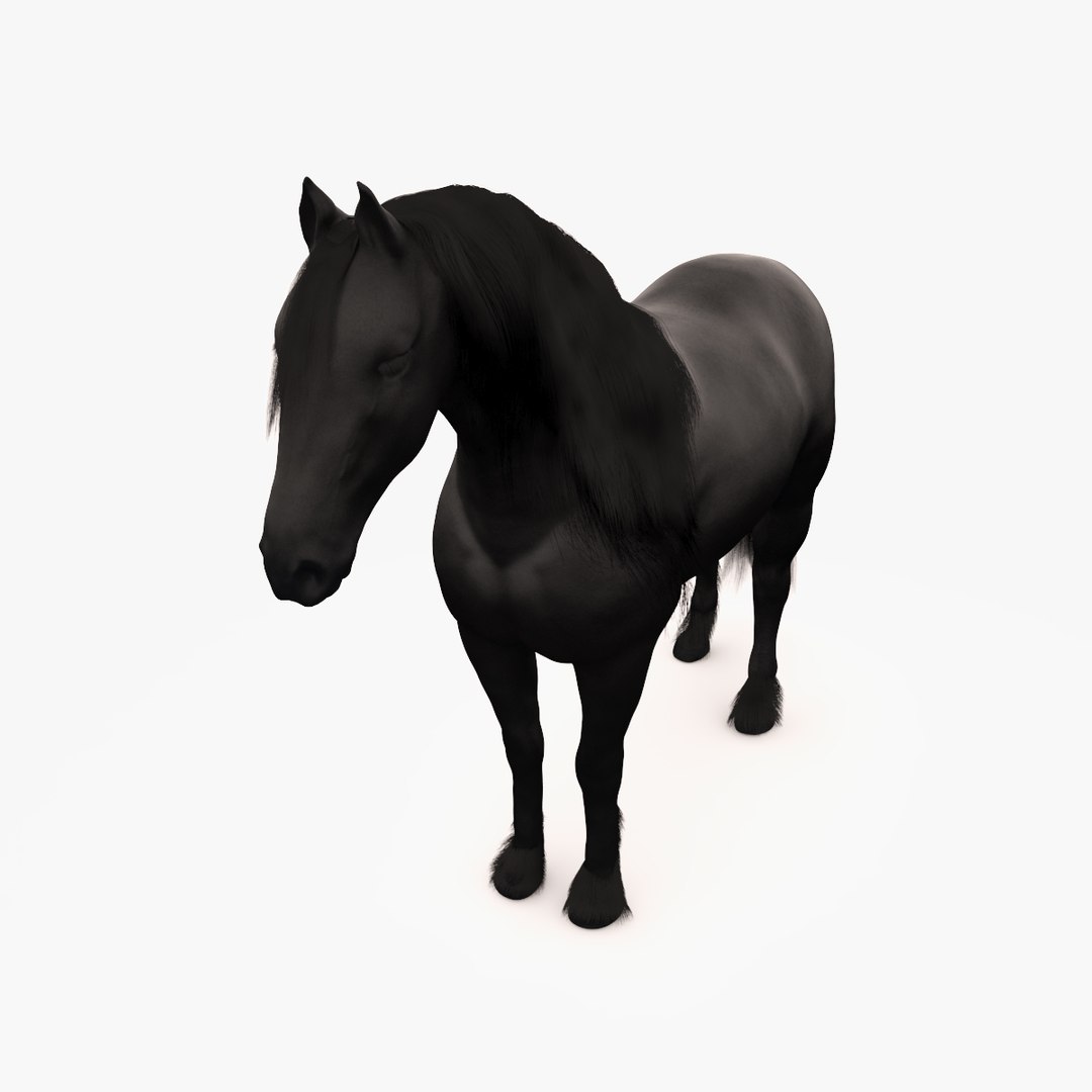 horse friesian black fur 3d max https://p.turbosquid.com/ts-thumb/0K/XF5svm/yFt4ni8u/image_3/jpg/1465464237/1920x1080/fit_q87/26b226e1f17911acc1b15342196803c870d6cd9c/image_3.jpg